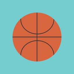 九游官网下载电脑版-篮球运动信息化管理平台设计与应用，篮球信息app